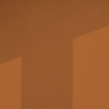 Rich Burnt Orange Premium Durable Paint 'Mezcal' - 2.5L Exterior 6