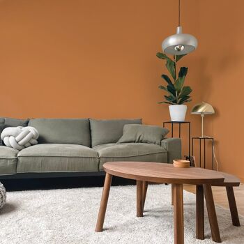 Rich Burnt Orange Premium Durable Paint 'Mezcal' - 5L Flat Matt 2
