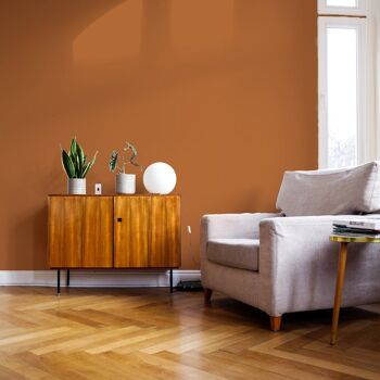 Rich Burnt Orange Premium Durable Paint 'Mezcal' - 5L Flat Matt 3