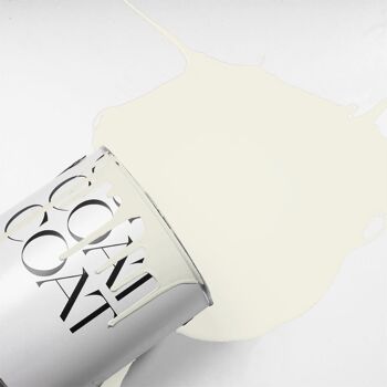 Warm White Premium Durable Paint 'No Offence' - 1L Soft Sheen 8