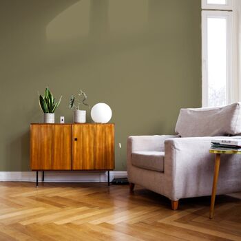 Warm Green Premium Durable Paint 'Pan' - 1L Flat Matt 3
