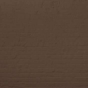 Rich Brown Premium Durable Paint 'Sheldon' - 1L Exterior 4