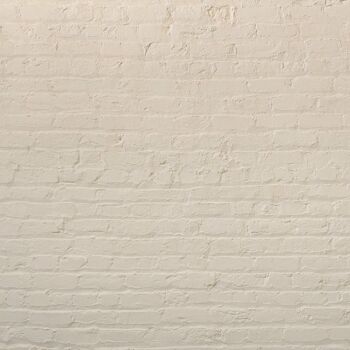 Warm Orangey White Premium Durable Paint 'Voltaire' - 1L Exterior 4