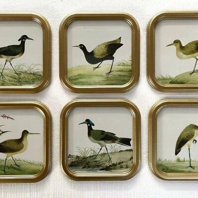 IMAGE EN VERRE MDF 30X2X30 OISEAUX ENCADRÉ 6 ASSORTIS. CU207796