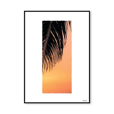 Palm SunsetA4 MAT