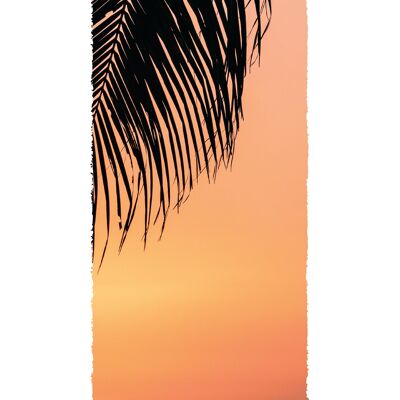 Palm Sunset A3 MATE