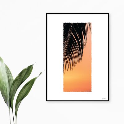 Palm Sunset A4 BRILLANTE