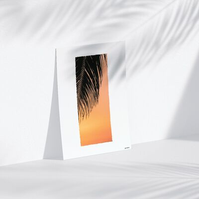 Palm Sunset A3 BRILLANTE
