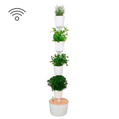 Giardino interno Citysens: kit intelligente con semi