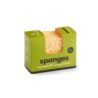 Compostable UK Sponge - 2 Pack Wavy