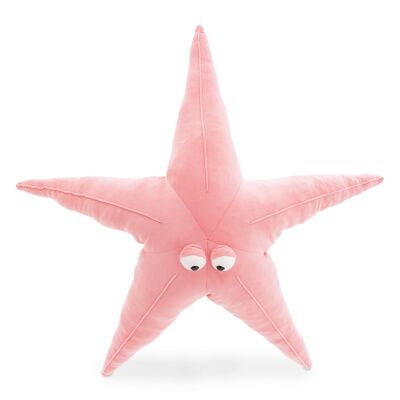 Peluche, estrella de mar