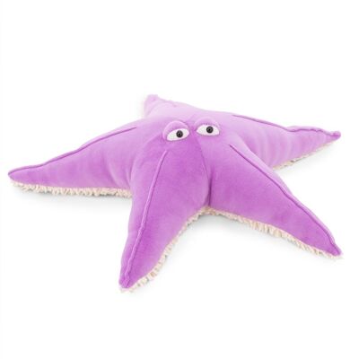 Peluche, estrella de mar