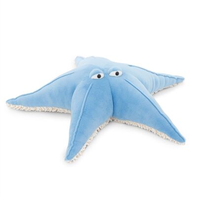 Peluche, estrella de mar