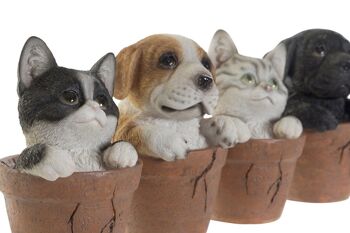 FIGURINE EN RÉSINE 10X11X14,5 CHIEN CHAT 4 ASSORTIMENTS. RF176692 2