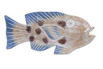 FIGURE ALBASIA 40X5X18 POISSON NATUREL DH203960 1