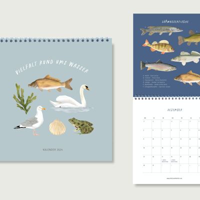 Calendario 2024 - Diversidad alrededor del agua | Calendario Mensual | Calendario de pared | mar | cuerpo de agua | agua | naturaleza | Ilustración|| CORAZON Y PAPEL