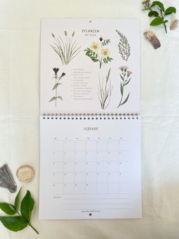 2024 Monthly Calendar Illustrated Wall Calendar 2024 2024 Calendar,  Wildflower 