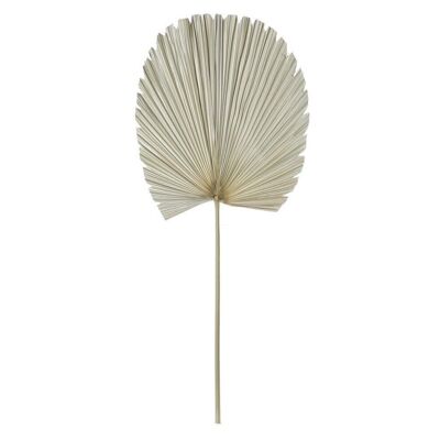 DECORAZIONE FOGLIA PALMA 45X45X103 NATURALE DH186769
