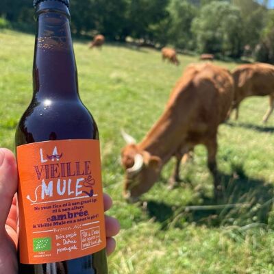 Bière ambrée La vieille Mule