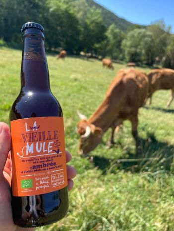 Bière ambrée La vieille Mule 1