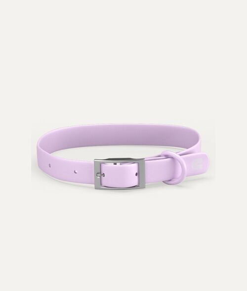 Collar Perro Violeta, Gala