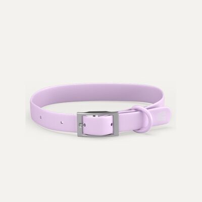 Collier pour chien violet, Gala