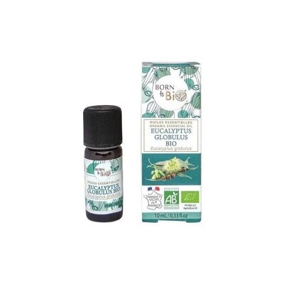 Huile essentielle d'Eucalyptus globulus - Certifiée Bio