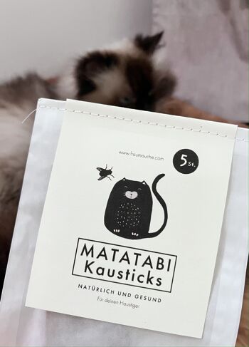 Bâtonnets à mâcher Matatabi (5x) pour chats, soins dentaires et jeu 4