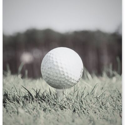 Manifesto del golf 2