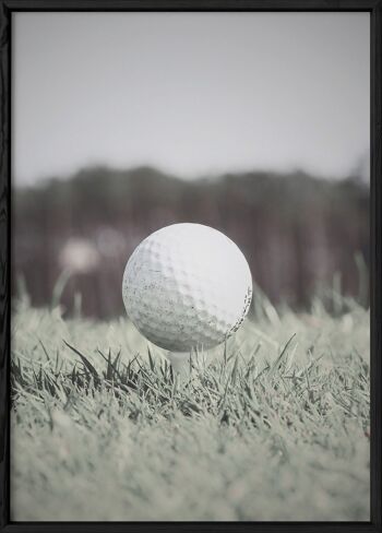 Affiche Golf 2 3