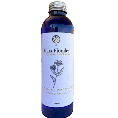 Bio-duftendes Inula-Blütenwasser – 200 ml