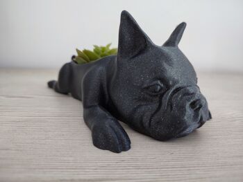 Pot pour chien bouledogue français 5