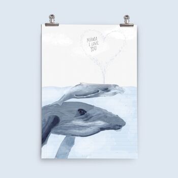 Affiche - Baleines 2