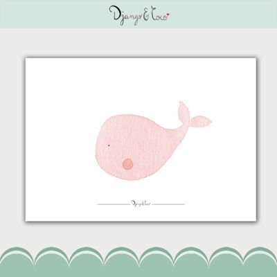 Rose the whale