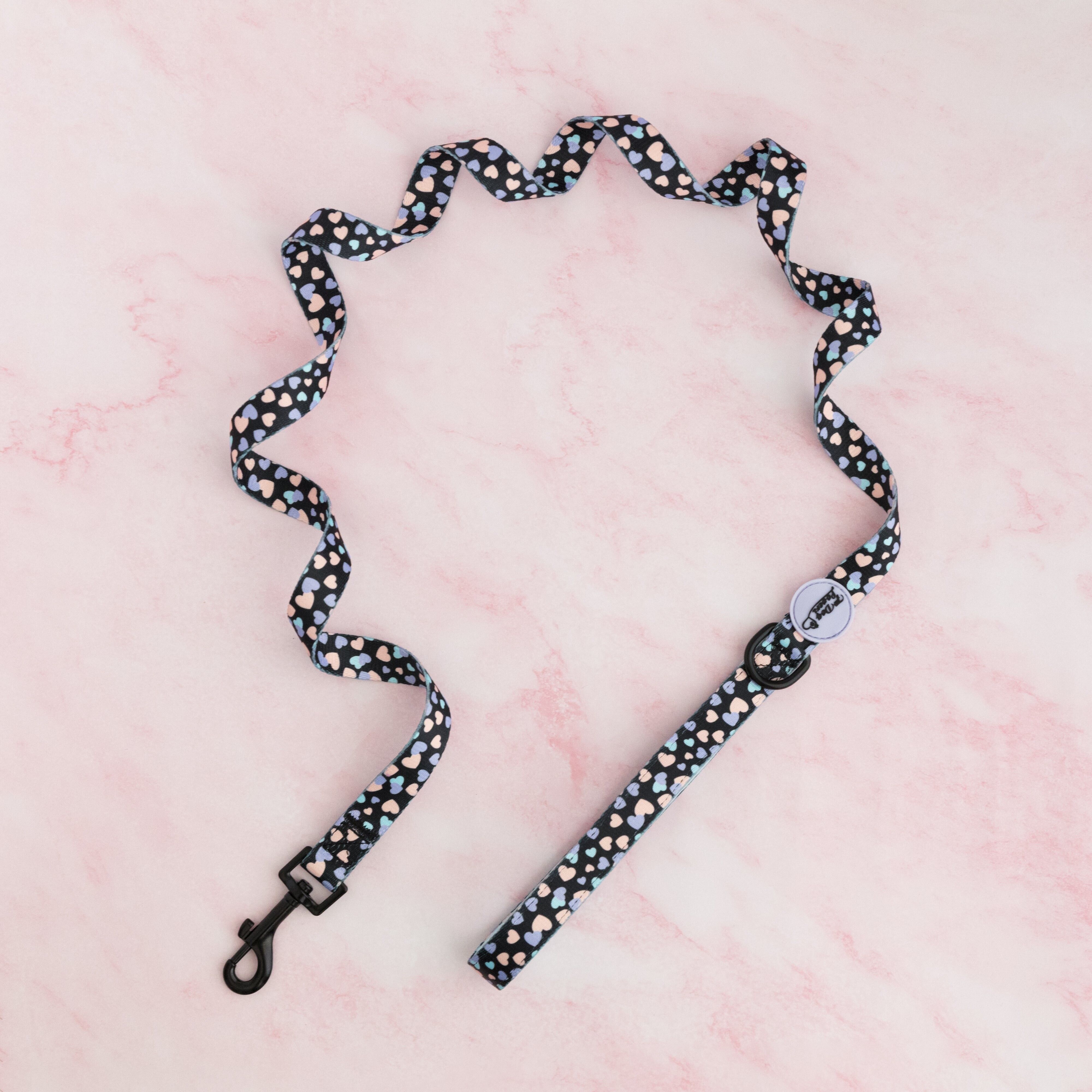 Guinzaglio per cani - È una storia d'amore