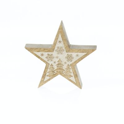 Estrella de madera bosque invernal pequeña, 14,5x3,5x14,5cm, natural/blanco, 795572