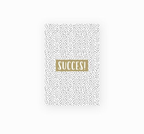 Minikaartje - succes