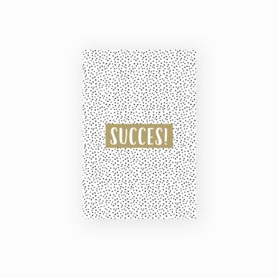 Mini carta - successo