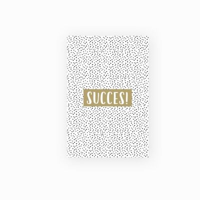 Mini tarjeta - éxito
