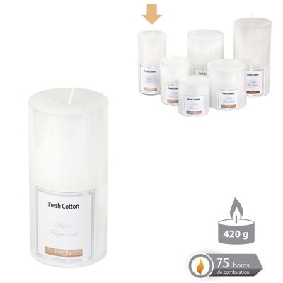 AUTUMN WHITE SCENTED CYLINDRICAL CANDLE CL131003