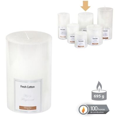 AUTUMN WHITE SCENTED CYLINDRICAL CANDLE CL131005
