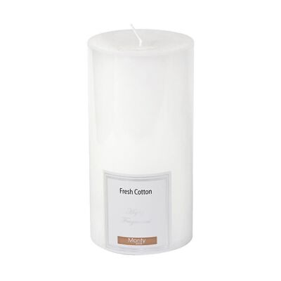 AUTUMN WHITE SCENTED CYLINDRICAL CANDLE CL131006