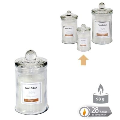 AUTUMN WHITE SCENTED GLASS JAR CANDLE CL131009