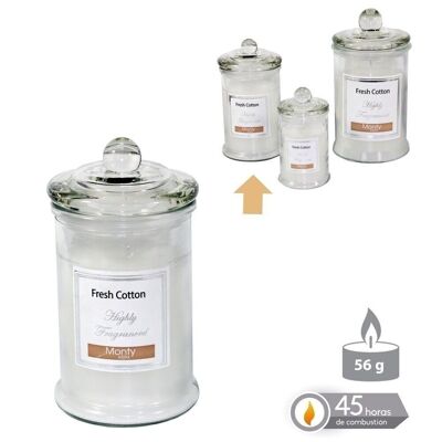 AUTUMN WHITE SCENTED GLASS JAR CANDLE CL131010