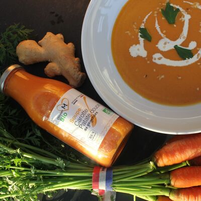Sopa de Zanahoria con Jengibre Orgánica
