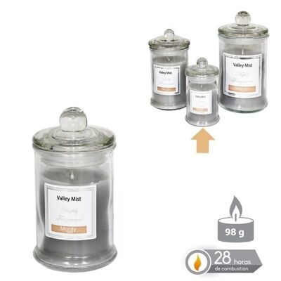 AUTUMN GRAY SCENTED GLASS JAR CANDLE CL131086