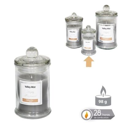 VELA TARRO CRISTAL PERFUMADA GRIS OTOÑO CL131086