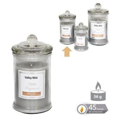 VELA TARRO CRISTAL PERFUMADA GRIS OTOÑO CL131087