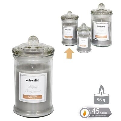 AUTUMN GRAY SCENTED GLASS JAR CANDLE CL131087