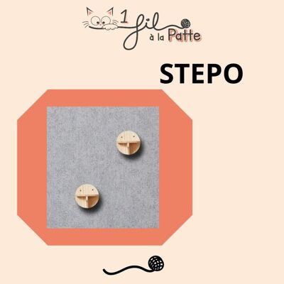 STEPO - les 2 petites marches en bois
